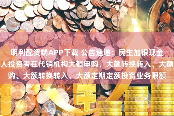 明利配资端APP下载 公告速递:民生加银现金增利货币基金调整非个人投资者在代销机构大额申购、大额转换转入、大额定期定额投资业务限额