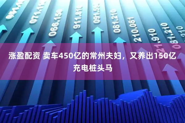 涨盈配资 卖车450亿的常州夫妇，又养出150亿充电桩头马