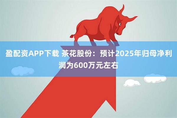盈配资APP下载 茶花股份：预计2025年归母净利润为600万元左右